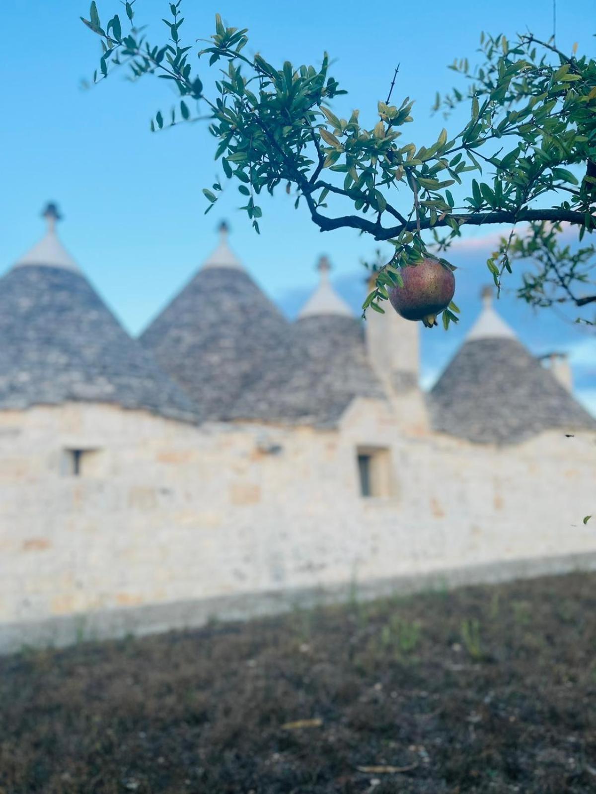 Hotel Scardino Trulli Locorotondo Exterior foto